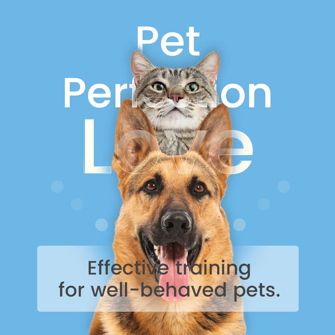 Pet Care Product Ad — VDOLogy portfolio
